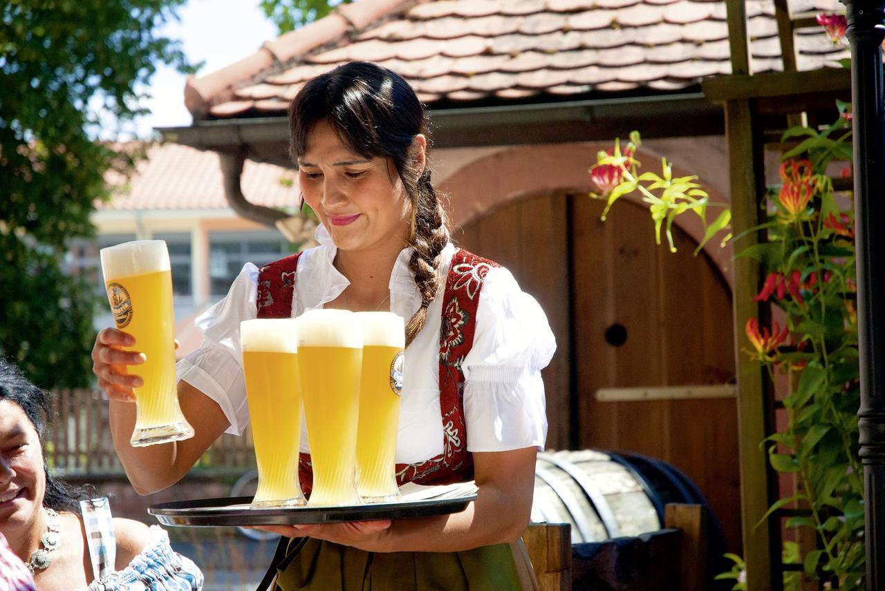Landgasthaus Roemerhof Obernburg am Main Eksteriør bilde